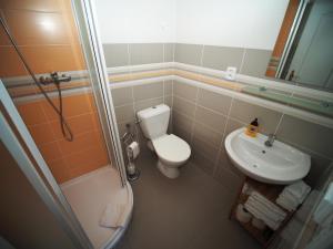 a small bathroom with a toilet and a sink at Penzion Dům u barvíře in Český Krumlov