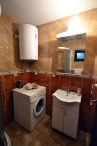a bathroom with a washing machine and a sink at Apartments Dionis in Kotor