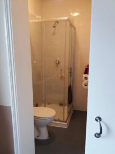 uma casa de banho com um WC e uma cabina de duche em vidro. em The Crouch Oak em Addlestone