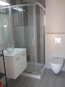 Un baño con ducha, inodoro y lavabo. en Villa Magda, en Makrádes