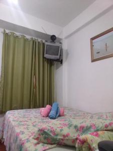 a bedroom with a bed and a tv on the wall at Hostel Recanto de Alegrias em São Cristòvão in Rio de Janeiro