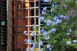 een raam met een bos paarse bloemen voor bij antica casa "le rondini" in Borgo a Buggiano
