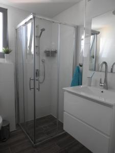 een badkamer met een douche en een wastafel bij ERA home boutique in Eilat