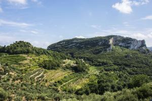 a view of a mountain with trees and bushes at Apartment Sotto Il Santo in Orco Feglino