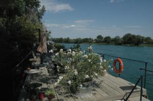 Photo de la galerie de l'établissement Péniche Espoir bulle, à Avignon