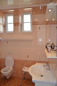 a bathroom with a toilet and a sink at Apartmán Kamila in Mariánské Lázně