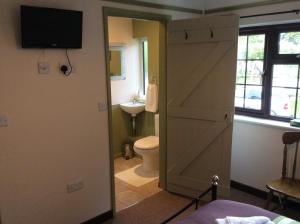 a bathroom with a toilet and a television on a door at Ty Mawr at Bethania B&B in Llanon