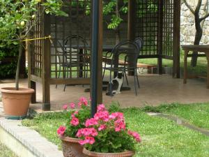 a cat sitting under a gazebo with pink flowers at B&B Le Grazie in Piaggine