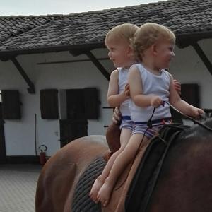 Επισκέπτες που μένουν στο Scuderia 100 pertiche