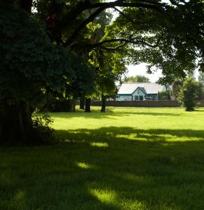 uma árvore num campo com uma casa ao fundo em Old School House Belcoo 41 em Belcoo