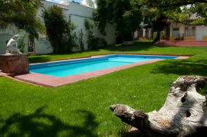 ein Pool in einem Garten mit einem Baumstamm im Gras in der Unterkunft Posada San Francisco in Tequisquiapan