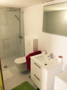 a bathroom with a sink and a toilet and a mirror at Apartman Crnica in Šibenik +16 photos
