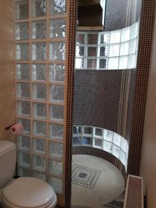 een douche met toilet in de badkamer bij lapetitemaisondeparis in Parijs