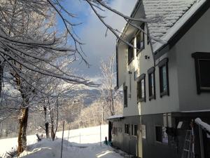 小谷村的住宿－白馬斜坡度假屋，一座雪地中的建筑,背景是一座山
