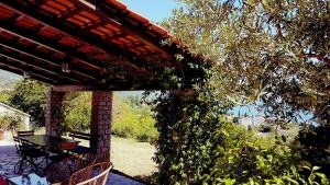 Ein Garten an der Unterkunft Apartments Panoramic