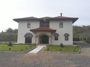 Gallery image of Pensiunea Casa Ungur in Cetea