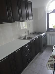 - une cuisine avec des placards noirs, un évier et une cuisinière dans l'établissement Pensiunea Casa Ungur, à Cetea