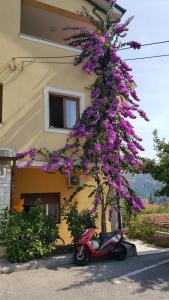 a scooter parked in front of a building with purple flowers at Apatmani Milena in Opatija