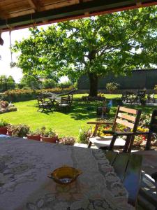 A garden outside Asteras Hotel
