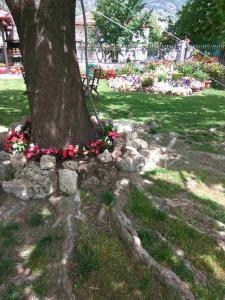 A garden outside Asteras Hotel