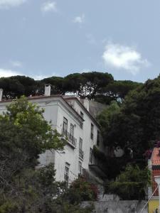 a white building on top of a hill with trees at SoQuiet in Lisbon