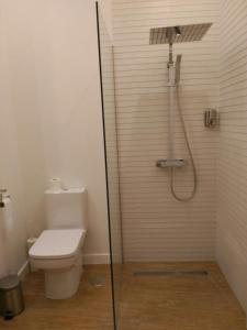 La salle de bains est pourvue d'une douche et de toilettes. dans l'établissement Luxury Catedral, à Malaga