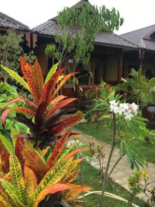 Zahrada ubytování Inle Cottage Boutique Hotel