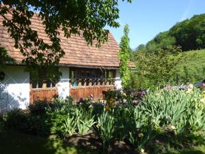 a garden in front of a house with flowers at Lexsimihof in Wildon