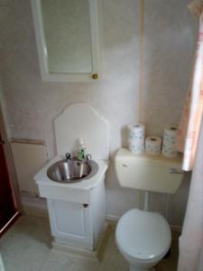 ein kleines Bad mit einem Waschbecken und einem WC in der Unterkunft Domki Gucio i Maja in Grodzisk Mazowiecki