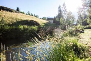 Príroda v okolí apartmánu