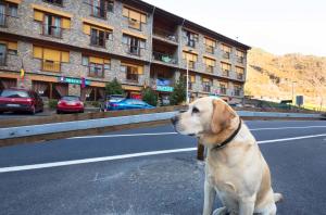 Gallery image of Hotel Antic in Ordino