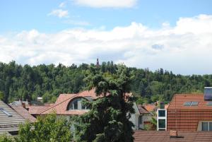 a view of a town with a tree at Apartment with Free Parking in Ljubljana