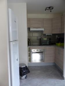 Kuchyň nebo kuchyňský kout v ubytování Appartement L'Orel + 21 fotografií
