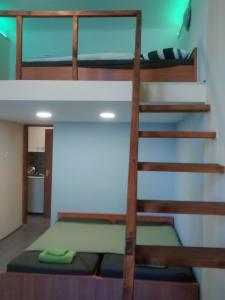 ブダペストにあるGreen Panda Apartmentsの二段ベッド2組とはしごが備わる二段ベッド付きの客室です。