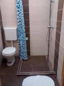 ein Bad mit einem WC und einer Dusche in der Unterkunft Green Panda Apartments in Budapest