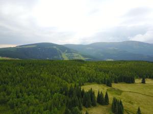 Príroda v okolí hotela