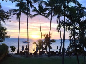 a view of a beach with palm trees and the ocean at Coco Palm Beach Resort - SHA Extra Plus in Mae Nam