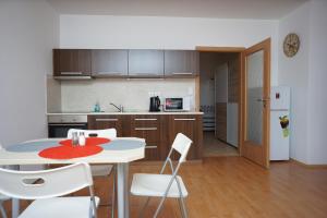 a kitchen with a table and chairs in a room at Apartmá Kateřina Velké Losiny in Velké Losiny