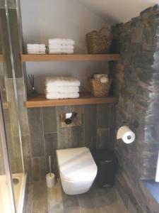 a bathroom with a white toilet and some towels at Riverside Suites Llangollen in Llangollen