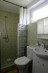a bathroom with a toilet and a sink and a window at Ubytování u rybníka Bořetice in Bořetice