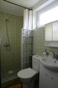 a bathroom with a toilet and a sink and a window at Ubytování u rybníka Bořetice in Bořetice +21 photos
