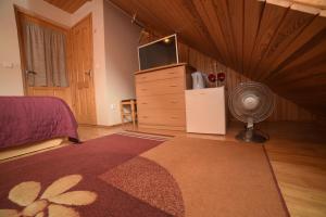 Schlafzimmer mit einem Bett, einem TV und einem Ventilator in der Unterkunft Inkliuzas in Nida