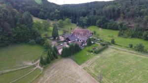 eine Luftansicht eines großen Hauses auf einem Feld in der Unterkunft Kempfenhof in Seelbach