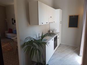 パレルモにあるVittorio Emanuele Appartamentiの白いキャビネットと植物のあるキッチン