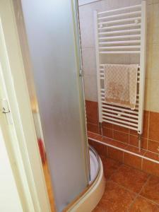 a shower with a glass door in a bathroom at Chata VI-MA in Patince