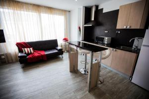 Η κουζίνα ή μικρή κουζίνα στο Apartamentos Bcntourism