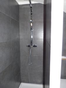 een douche met een douchekop in de badkamer bij le tilleul in Villevieille