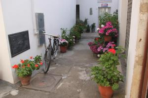 Una bicicleta estacionada al lado de un edificio con flores en Abitazione, en Galatone
