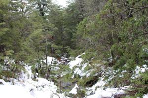 Paesaggio naturale nelle vicinanze dello chalet