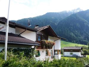 a house with a flower pot on the side of it at Ferienhaus Ahorn in Neustift im Stubaital